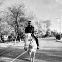  ,   , 100 ,   ,   , c , 