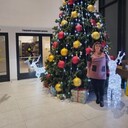 ���������� �������, ���� ������� ������, 38 ���, ������������ ��� c�������� ���������, ���������