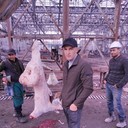 ���������� �������, ���� ������� Firuz, 36 ���, ������������ 