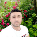 ���������� ������, ���� ������� ������, 43 ����, ������������ ��� ������, ����� � ���������