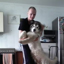 ���������� �����������, ���� ������� ����, 33 ����, ������������ ��� ������, ����� � ���������, c�������� ���������