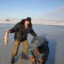  ,   , 55 ,   ,   , c 