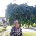 ���������� ������, ���� ������� ����������, 50 ���, ������������ ��� c�������� ���������