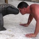  ,   , 53 ,   