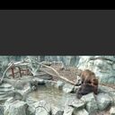  ,   Viktor, 36 ,   ,   