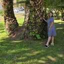  --,   , 40 ,   ,   , c , 