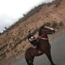 ���������� �������, ���� ������� Shoxruh, 32 ����, ������������ ��� ������, ����� � ���������