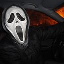 ���������� �����-���������, ���� ������� �����, 42 ����, ������������ ��� ������, ����� � ���������, c�������� ���������