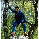 ���������� �������, ���� ������� ����, 33 ����, ������������ 