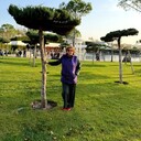 ���������� �������, ���� ������� ��������, 62 ����, ������������ ��� c�������� ���������, ���������