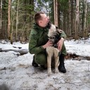  -,   , 33 ,   ,   , c 