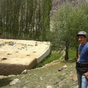  ,   Nur88, 37 ,     , c 