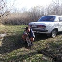  -,   , 38 ,   ,   , c 