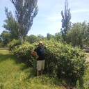 ���������� ��������, ���� ������� Roma, 44 ����, ������������ ��� ����� � ���������, c�������� ���������