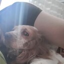  ,   Jekson, 33 ,  
