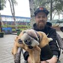 ���������� ����-���������, ���� ������� �������, 28 ���, ������������ ��� ���������