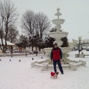  -,   , 46 ,     , c 