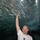 ���������� �������, ���� ������� ����, 49 ���, ������������ ��� ������, ����� � ���������, c�������� ���������