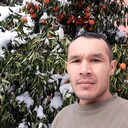 ���������� �������, ���� ������� Aslan, 38 ���, ������������ ��� ������, ����� � ���������, c�������� ���������