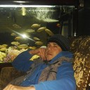  ,   Grek, 40 ,  