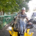  ,   TYUSH, 36 ,   ,   , c 