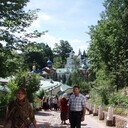  ,   , 58 ,   ,   , c 