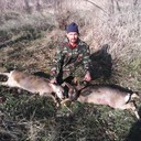  ,   , 43 ,   ,   , c 