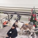 ���������� �������, ���� ������� �����, 37 ���, ������������ ��� ������, ����� � ���������