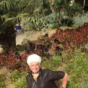  ,   , 75 ,  