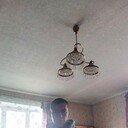 ���������� ��������������, ���� ������� ����, 29 ���, ������������ ��� ����� � ���������, c�������� ���������