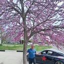 ���������� ���������, ���� ������� �������, 48 ���, ������������ ��� ������, ����� � ���������, c�������� ���������, ���������