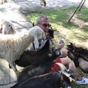 ���������� �����-���������, ���� ������� ��������, 52 ����, ������������ ��� ������, ����� � ���������, c�������� ���������