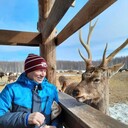  ,   , 55 ,   c , 