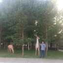  ,   , 58 ,   c 