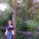 ���������� �����, ���� ������� ����, 39 ���, ������������ ��� ����� � ���������, c�������� ���������