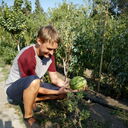 ���������� �����������, ���� ������� ����, 33 ����, ������������ ��� ������, ����� � ���������