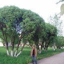  ,   , 38 ,   ,   , c , 