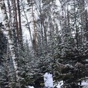 ���������� ������, ���� ������� Vitaly, 31 ���, ������������ ��� ������, ����� � ���������