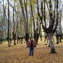  ,   Giga, 38 ,   ,   , c 