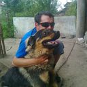  ,   Kolayder, 34 ,   