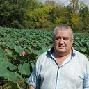  ,   , 71 ,   c 
