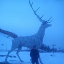 ���������� ������, ���� ������� ���������, 33 ����, ������������ ��� ������, ����� � ���������, c�������� ���������