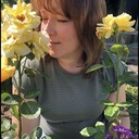 ���������� ������, ���� ������� ������, 50 ���, ������������ ��� ����� � ���������, c�������� ���������