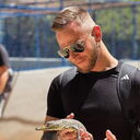 ���������� �����-���������, ���� ������� ���������, 33 ����, ������������ ��� ������, ����� � ���������, c�������� ���������