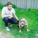 ���������� ������, ���� ������� �����, 33 ����, ������������ ��� ������, ����� � ���������, c�������� ���������