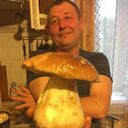 ���������� �����, ���� ������� ������, 50 ���, ������������ ��� ������, ����� � ���������, c�������� ���������