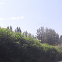 ���������� ��, ���� ������� ���������, 35 ���, ������������ ��� ������