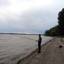 ���������� �����������, ���� ������� ����, 26 ���, ������������ 