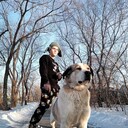 ���������� �����������, ���� ������� �������, 26 ���, ������������ ��� ������, ����� � ���������, ���������