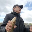 ���������� ������, ���� ������� ������, 52 ����, ������������ ��� ���������